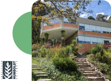 instituto